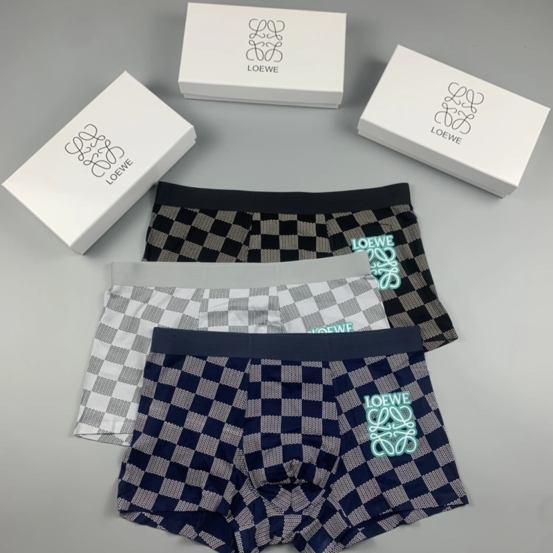 Loewe Underwear Neat 276299