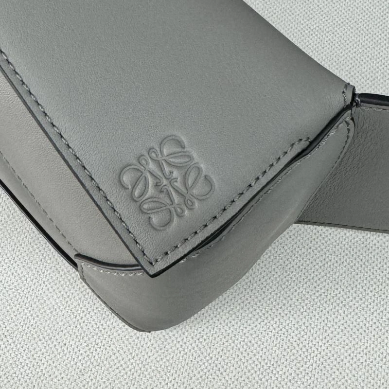 Loewe Waist Chest Packs Colorful 73281