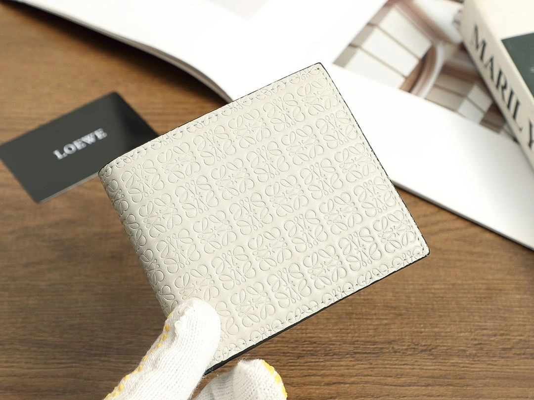 Loewe Wallets Purse TravelReady 92846