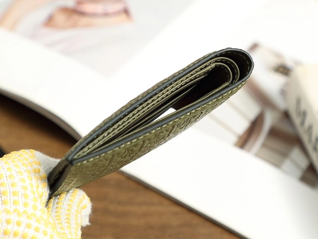 Loewe Wallets Purse EyeCatching 92929