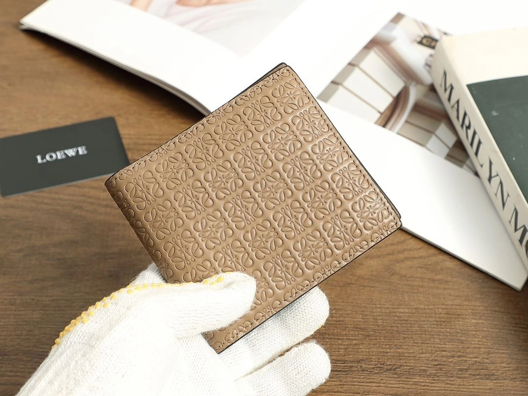 Loewe Wallets Purse Versatile 92902