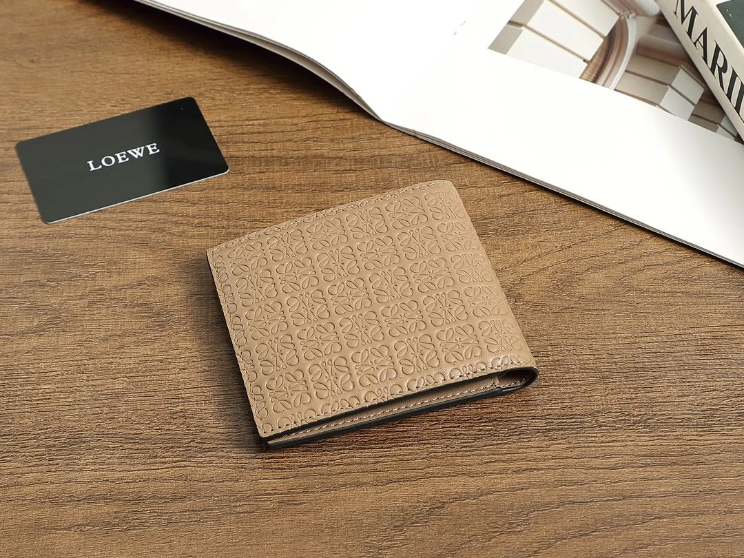 Loewe Wallets Purse Versatile 92902