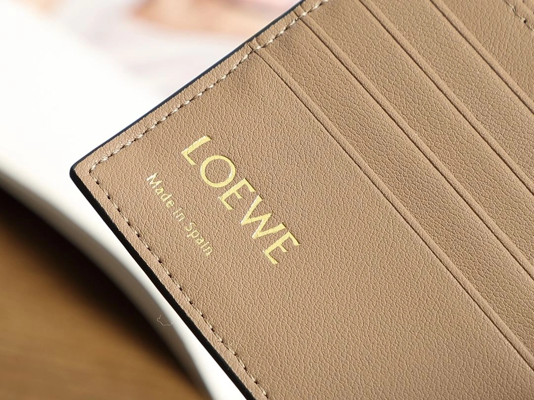 Loewe Wallets Purse Versatile 92902