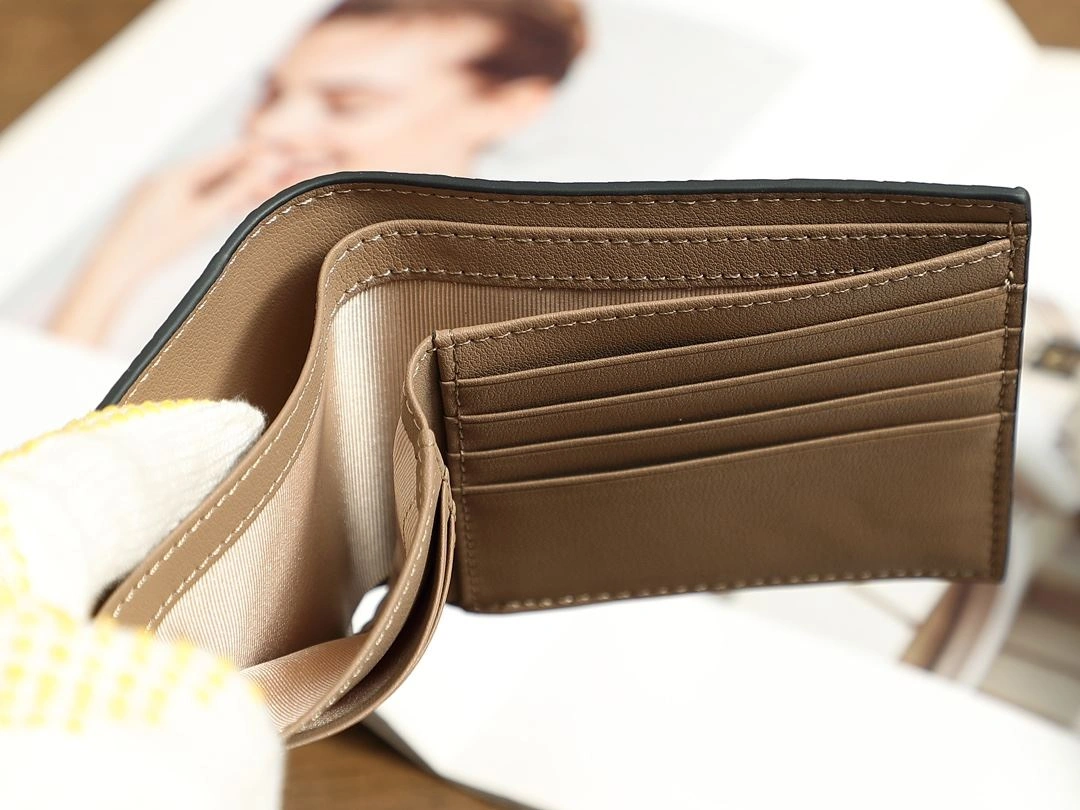 Loewe Wallets Purse Versatile 92902