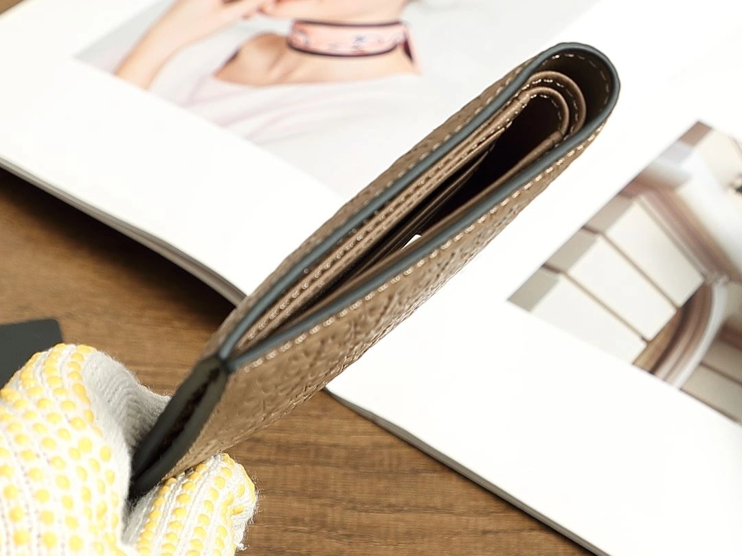 Loewe Wallets Purse Versatile 92902