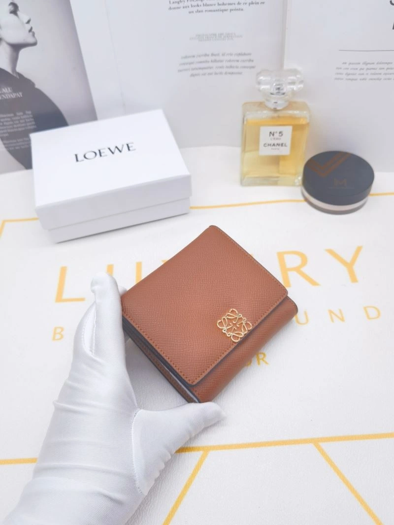 Loewe Wallets Purse OdorResistant 85908