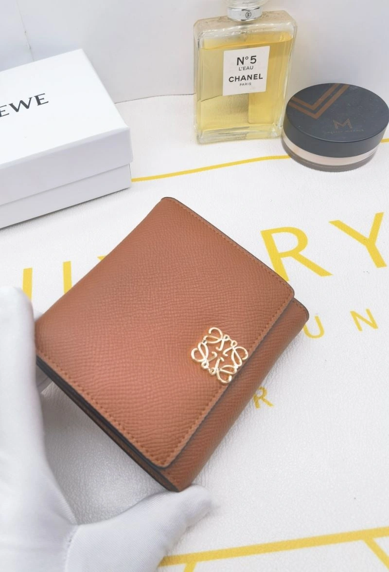 Loewe Wallets Purse OdorResistant 85908