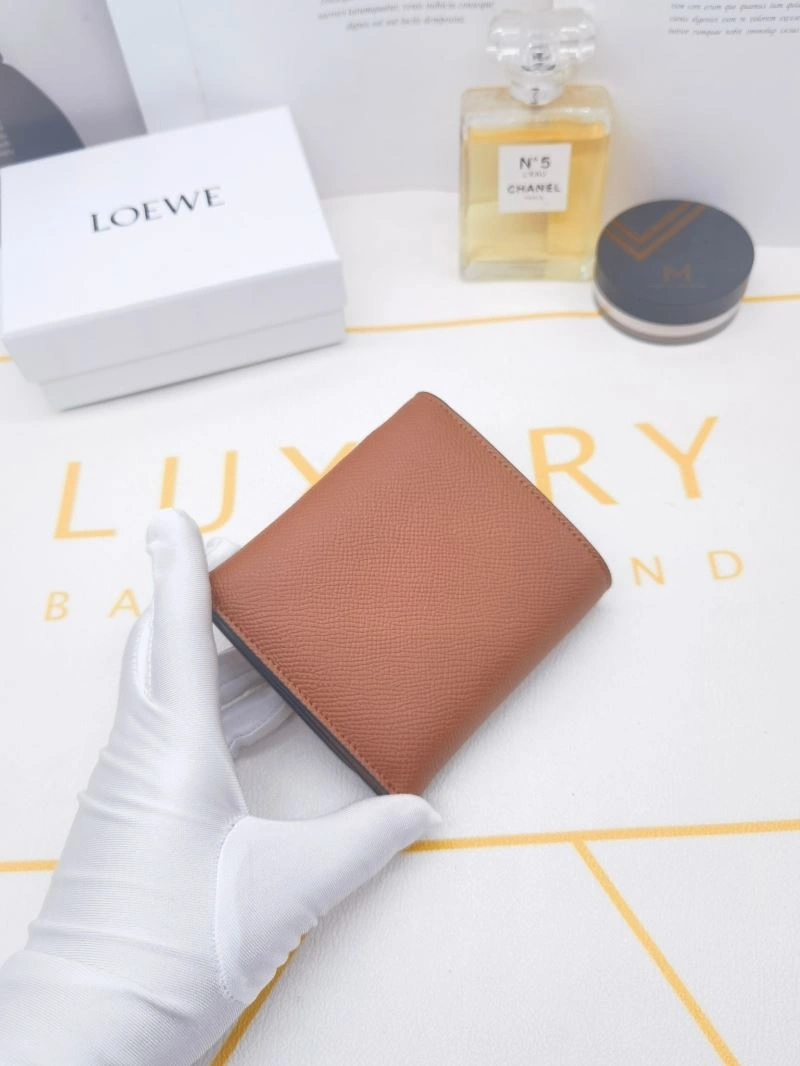 Loewe Wallets Purse OdorResistant 85908