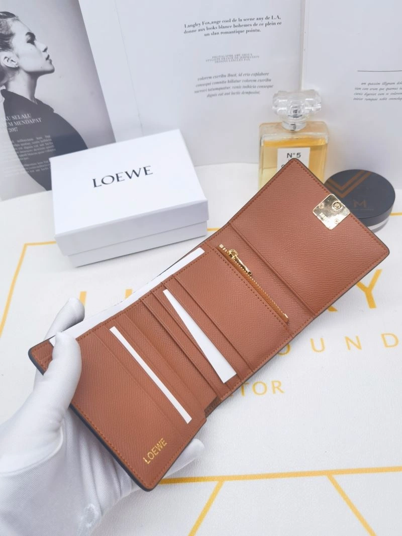 Loewe Wallets Purse OdorResistant 85908