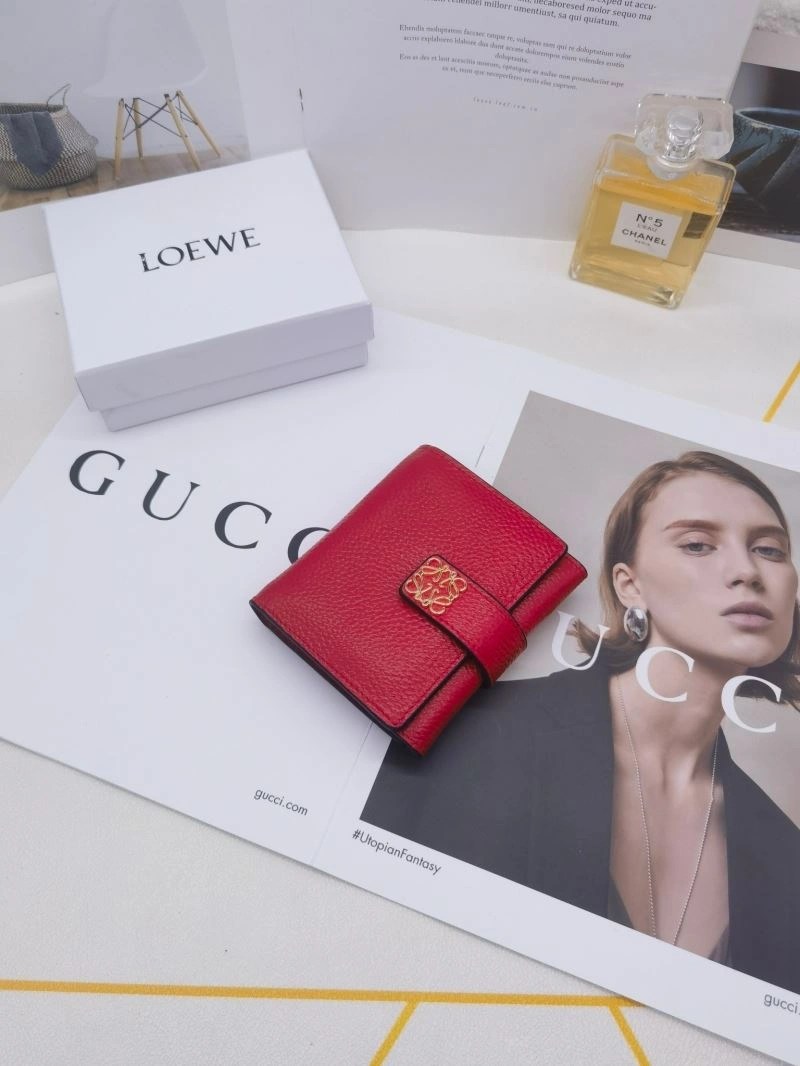 Loewe Wallets Purse Practical 85903