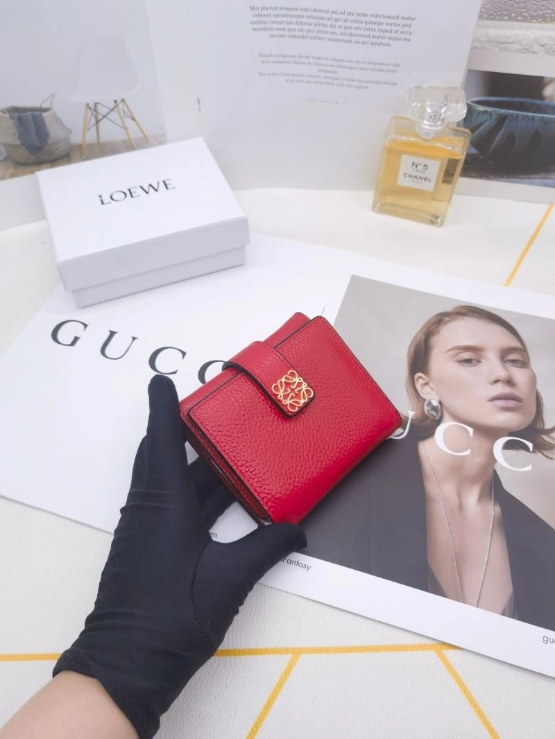 Loewe Wallets Purse Practical 85903