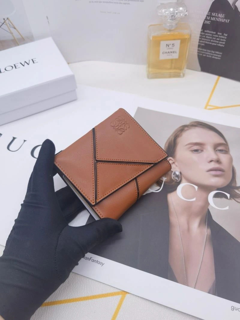 Loewe Wallets Purse MultiPurpose 85892