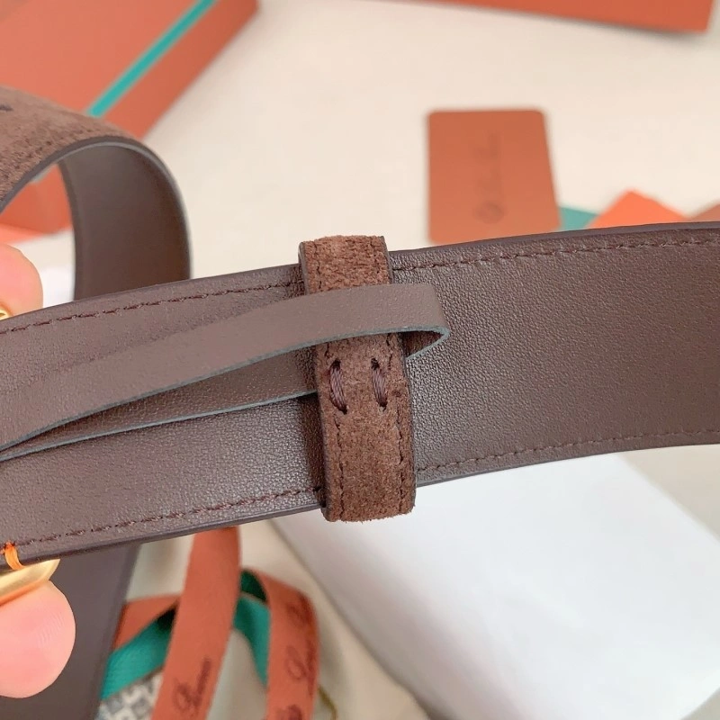 DailyWear Loro Piana Belts 297044