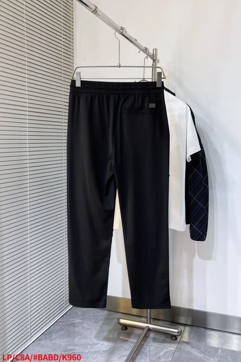 Cozy Loro Piana Long Pants 160329