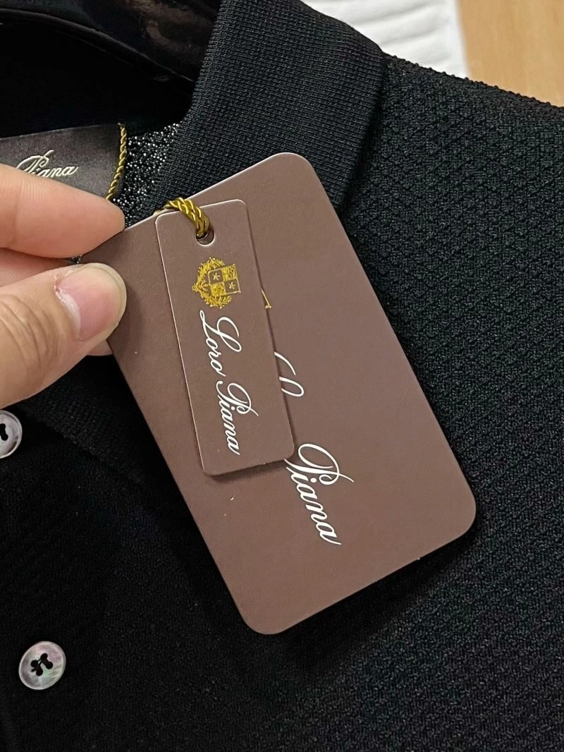 Comfortable Loro Piana T-Shirts 162577
