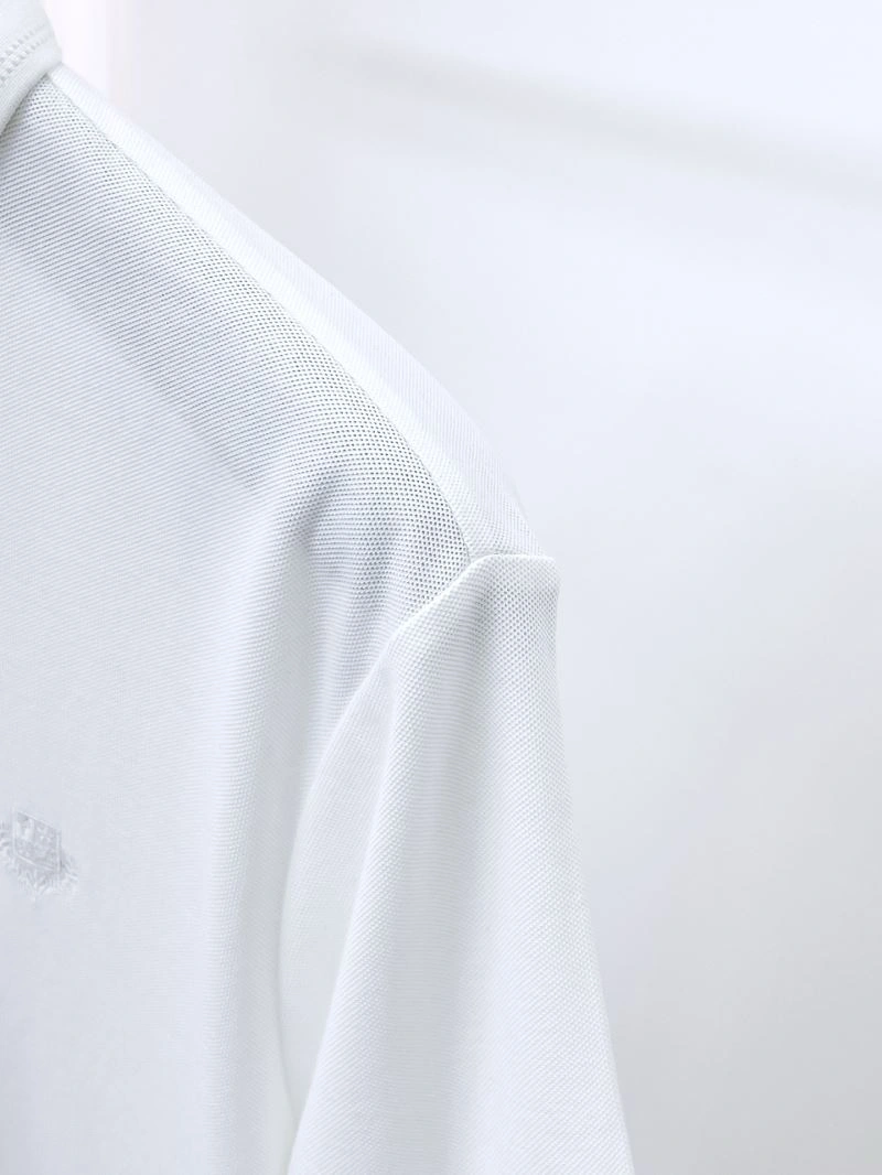 Sleek Loro Piana T-Shirts 161606