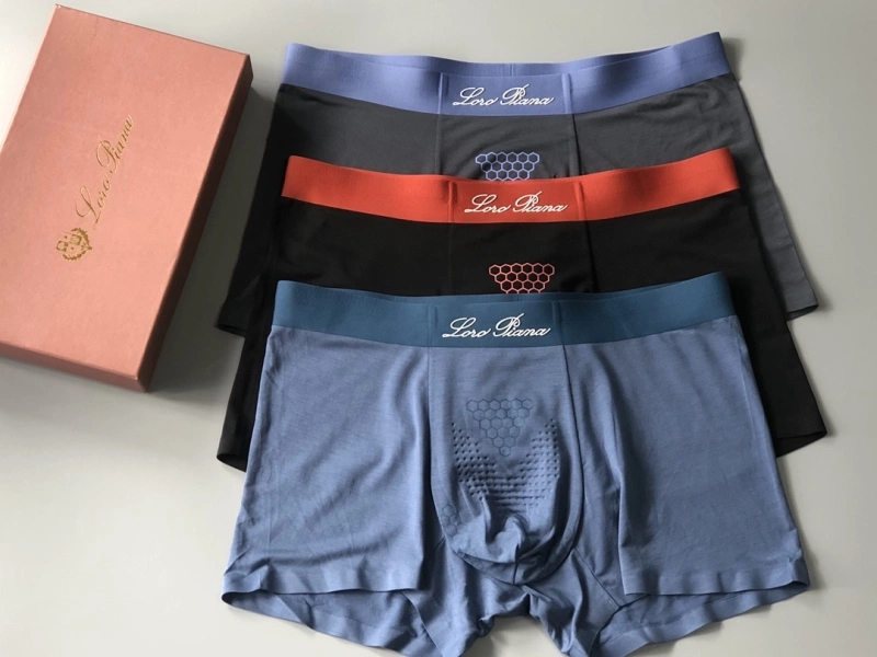 Loro Piana Underwear WeatherProof 276627