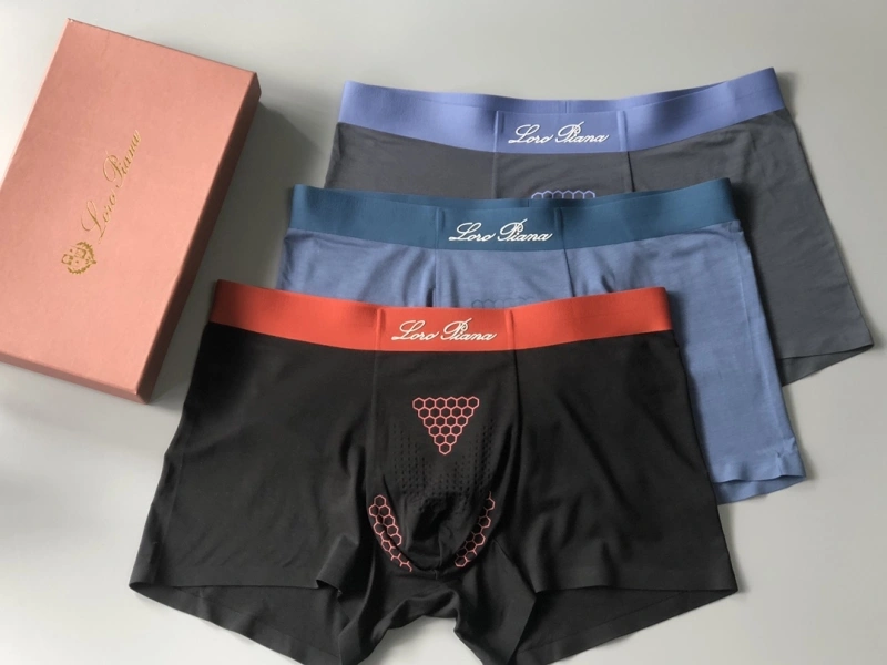 Loro Piana Underwear WeatherProof 276627
