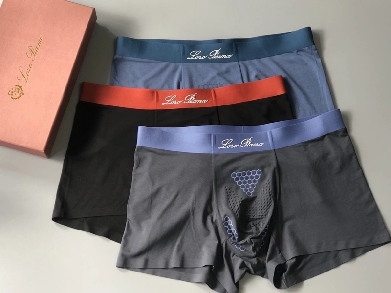 Loro Piana Underwear WeatherProof 276627