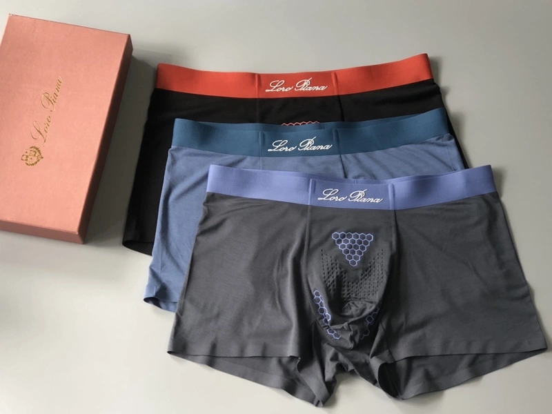 Loro Piana Underwear WeatherProof 276627