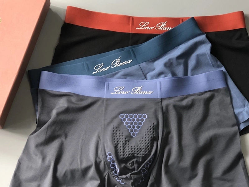 Loro Piana Underwear WeatherProof 276627