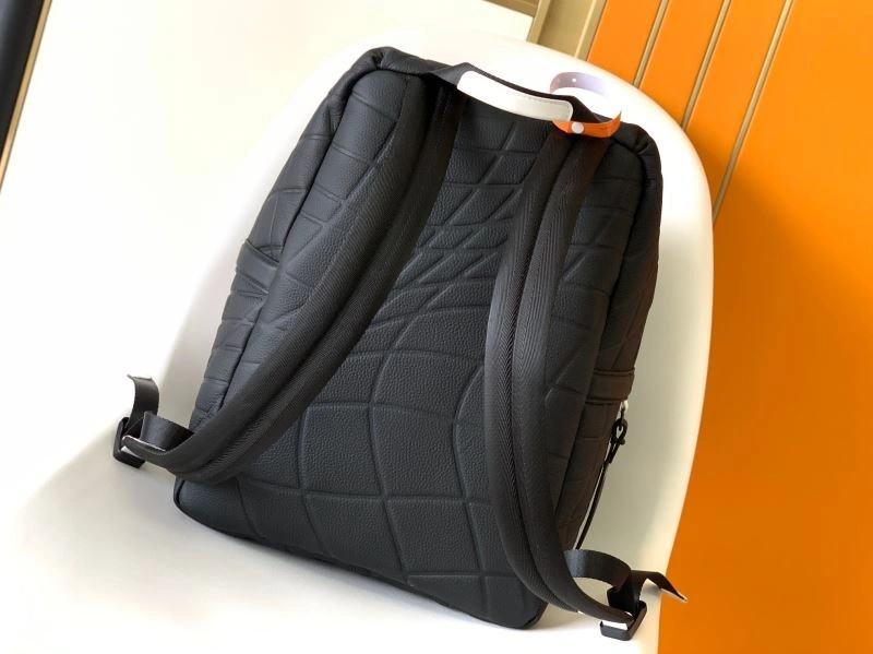 Louis Vuitton Backpacks Resilient 94445