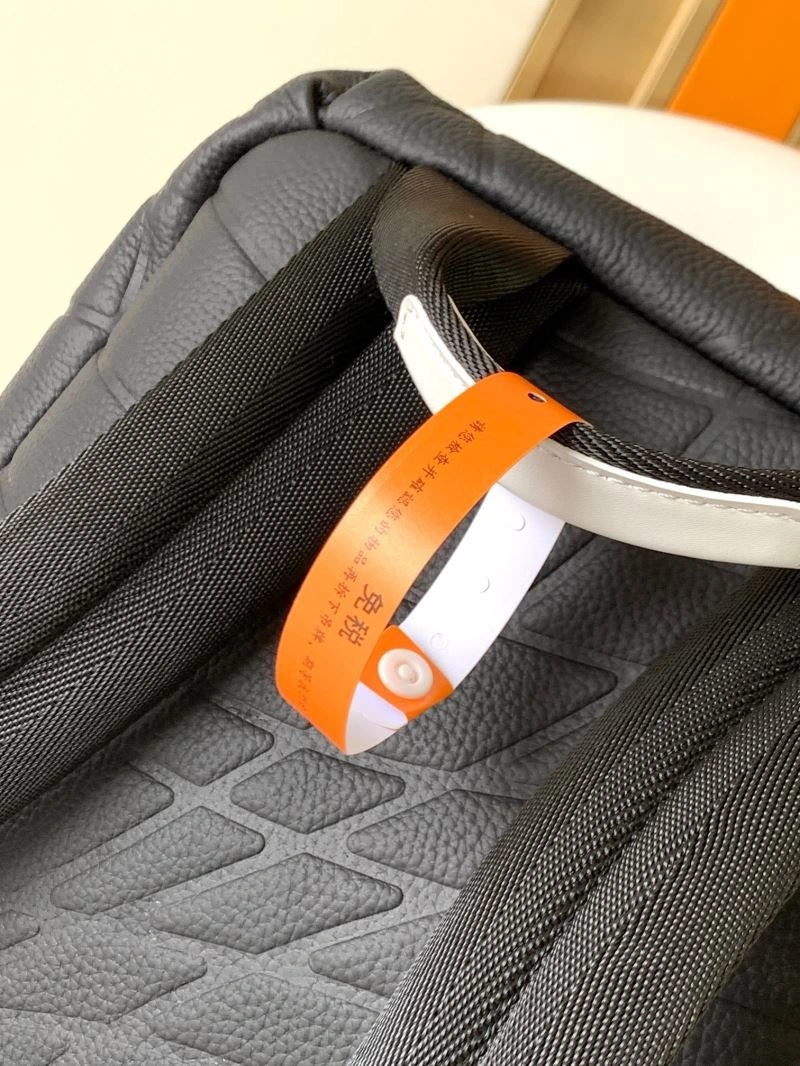 Louis Vuitton Backpacks Resilient 94445