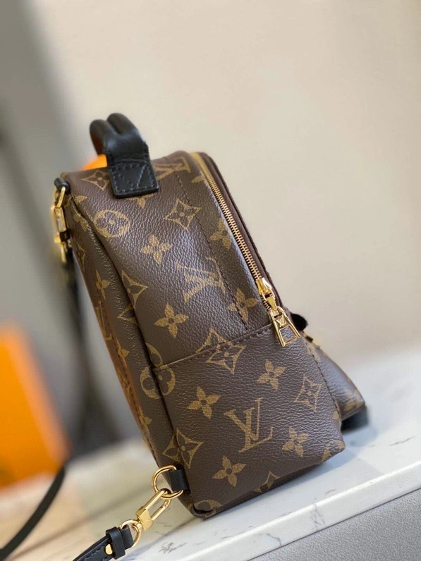 Louis Vuitton Backpacks Minimalist 93982