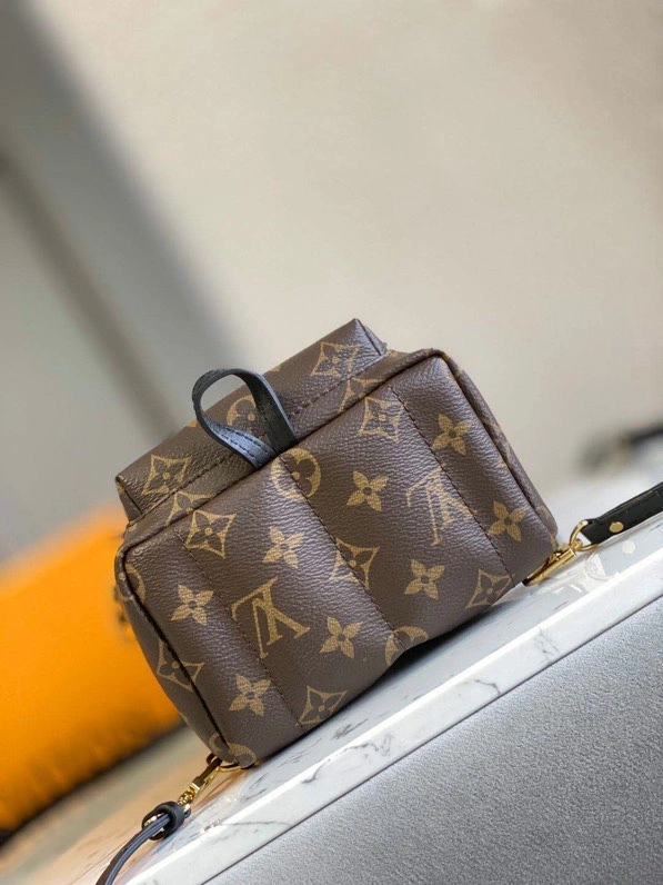 Louis Vuitton Backpacks Minimalist 93982