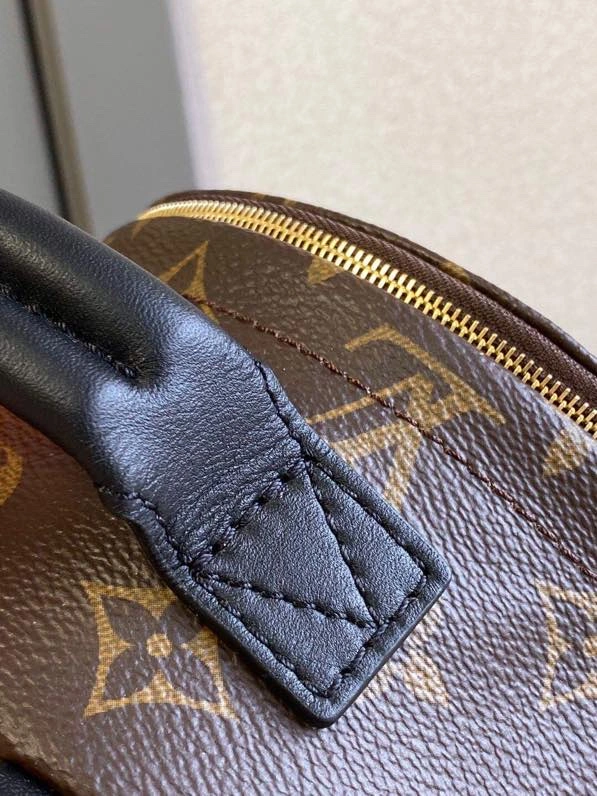 Louis Vuitton Backpacks Minimalist 93982