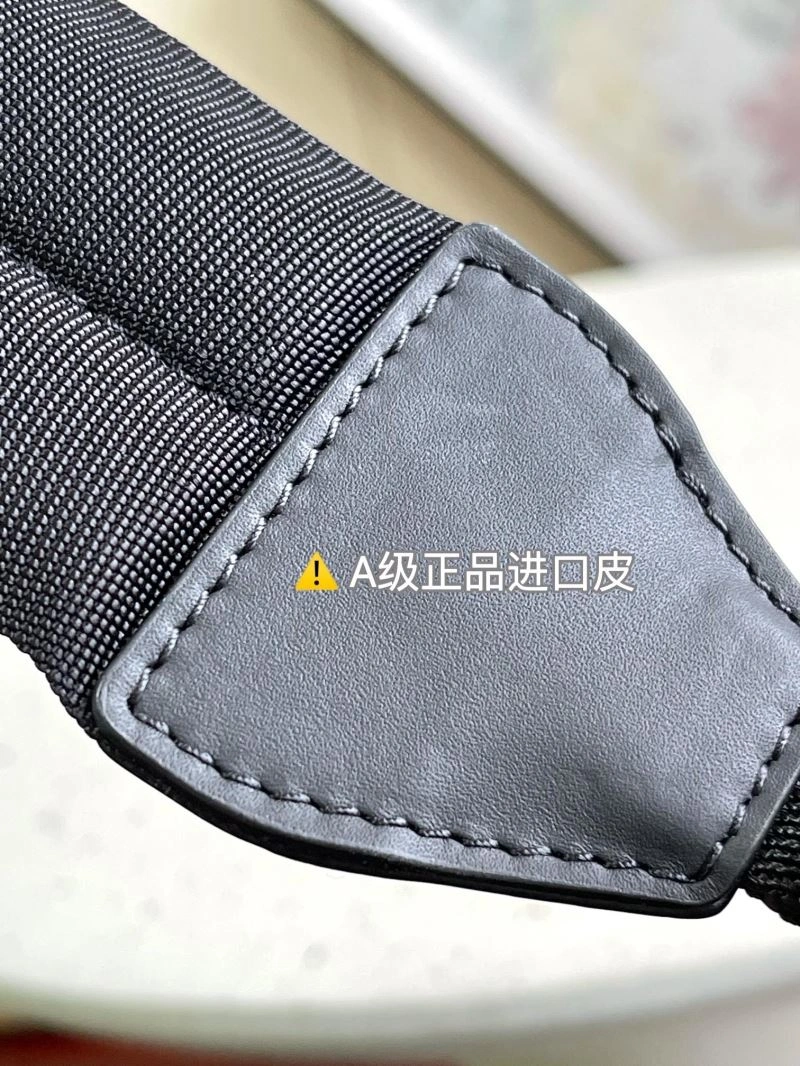 Vibrant Louis Vuitton Backpacks 93894