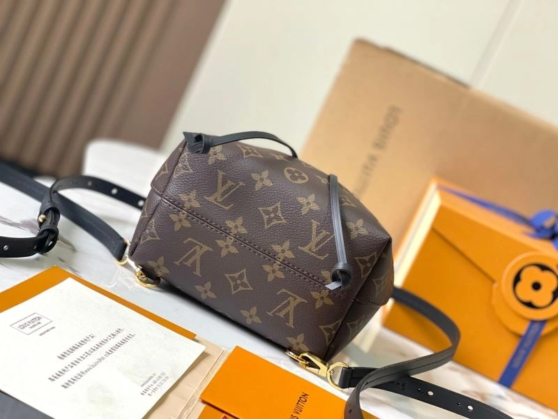 Louis Vuitton Backpacks Bold 93688