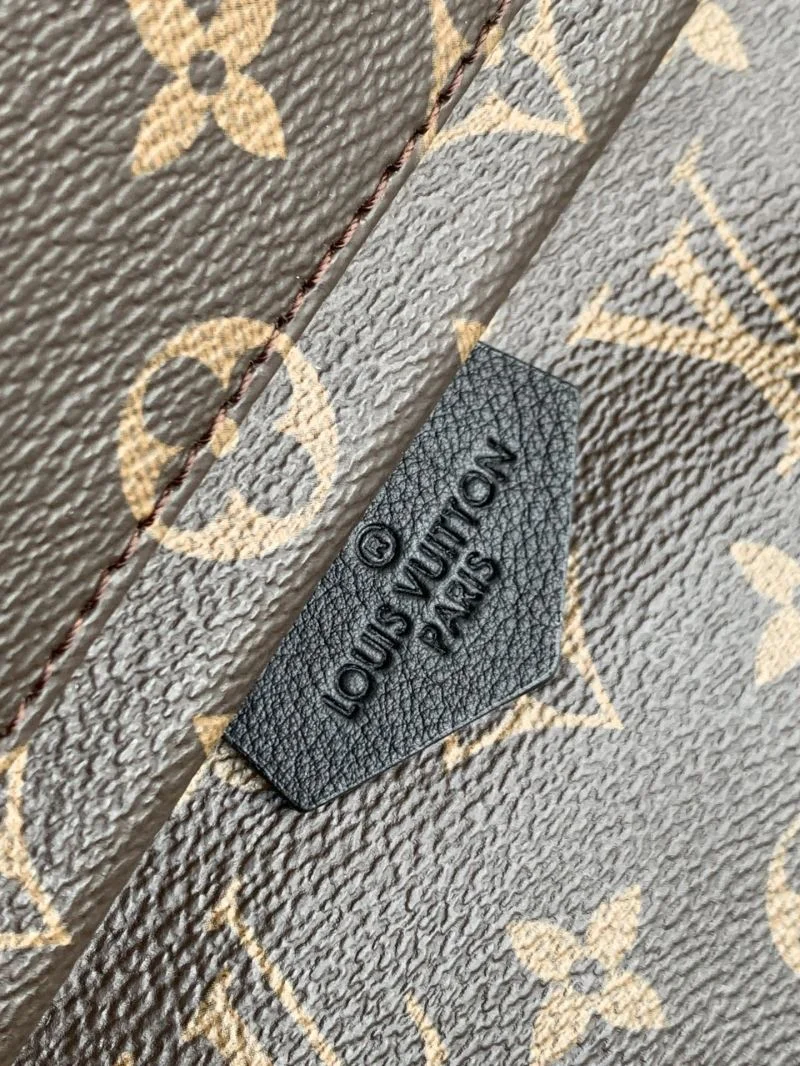 Timeless Louis Vuitton Backpacks 43427