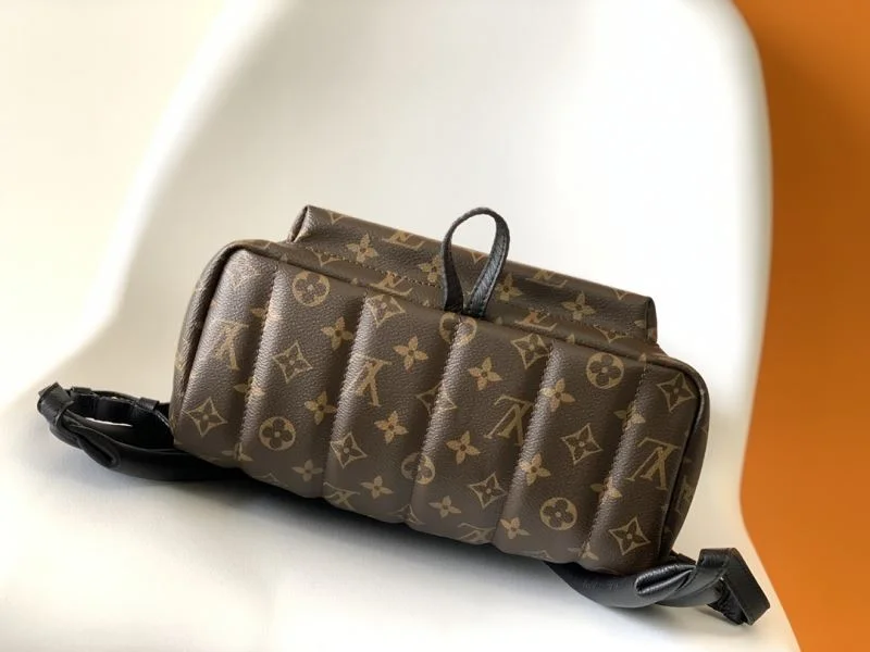 Timeless Louis Vuitton Backpacks 43427