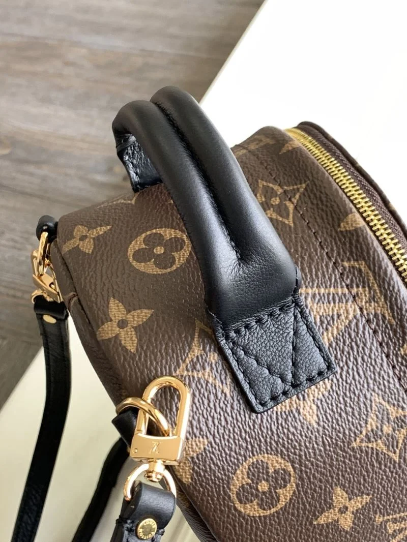 Louis Vuitton Backpacks Comfortable 43468