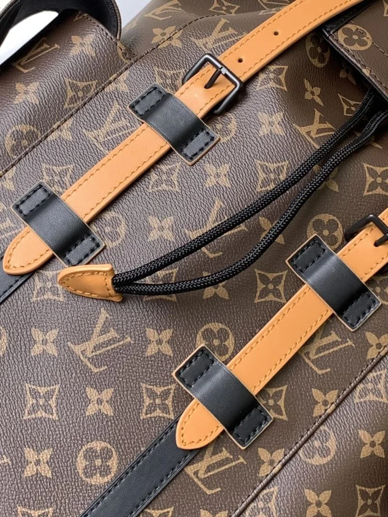 Louis Vuitton Backpacks Bold 43217