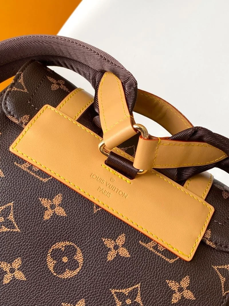 Resilient Louis Vuitton Backpacks 43287
