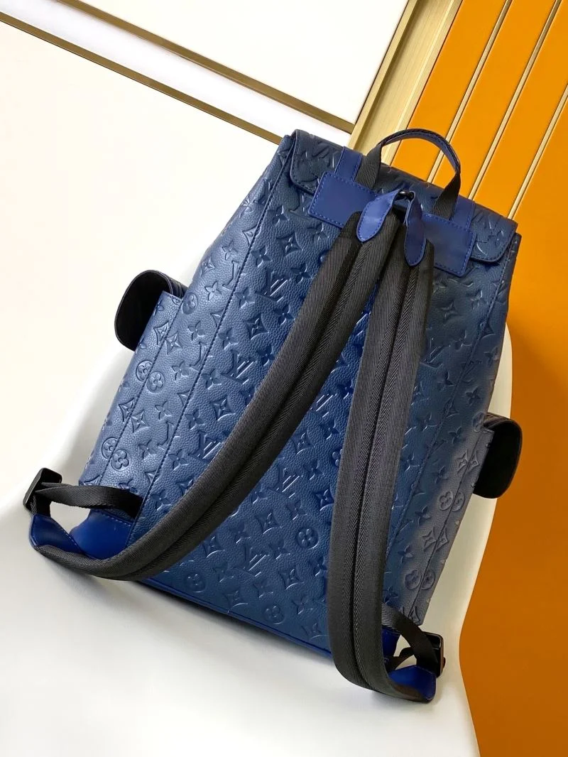Louis Vuitton Backpacks Resilient 43170