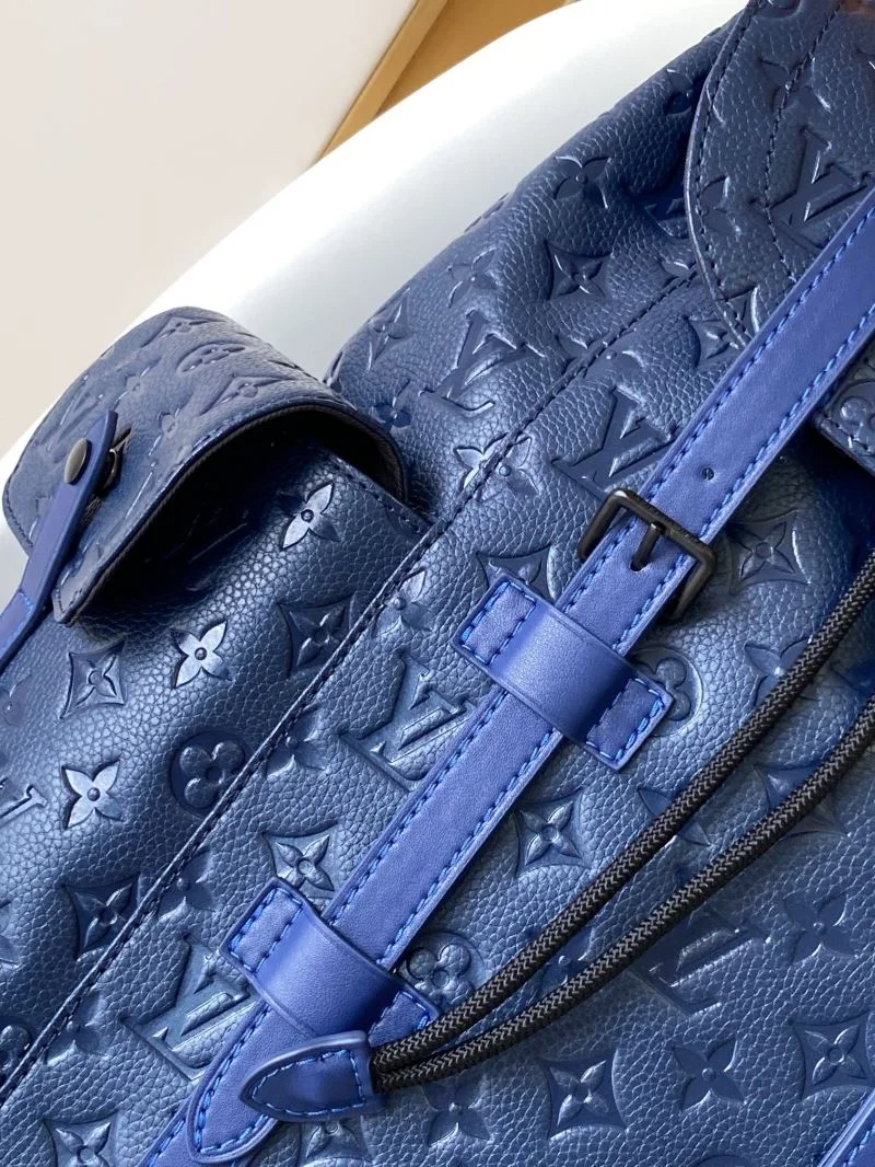 Louis Vuitton Backpacks Resilient 43170