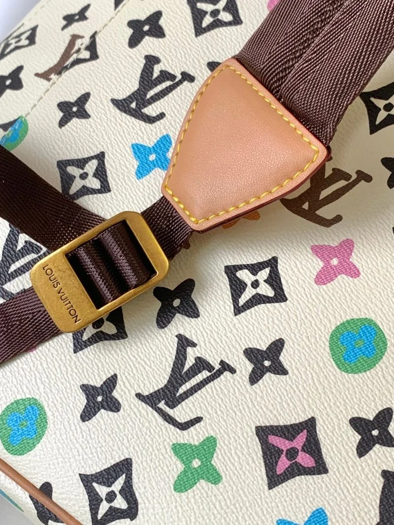 DailyWear Louis Vuitton Backpacks 43169