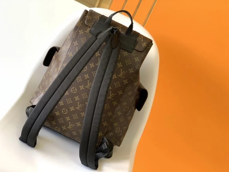 Stylish Louis Vuitton Backpacks 43155