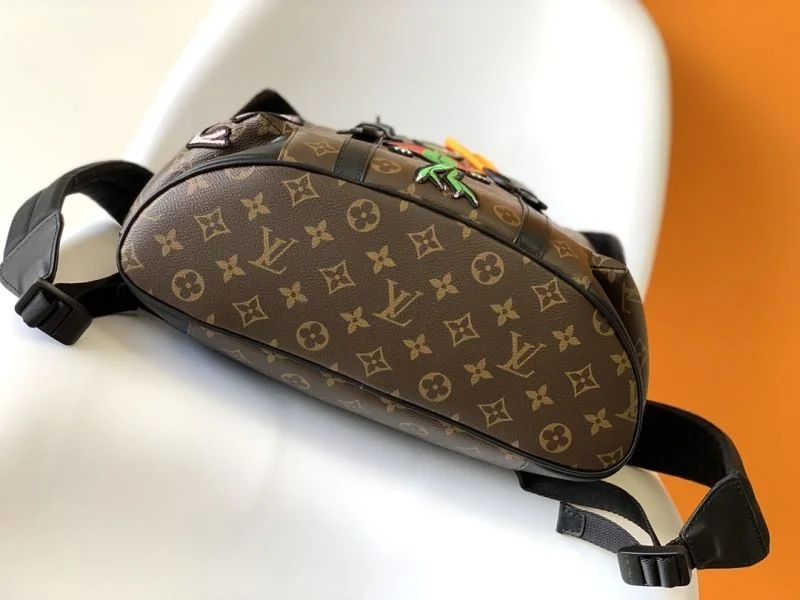 Stylish Louis Vuitton Backpacks 43155