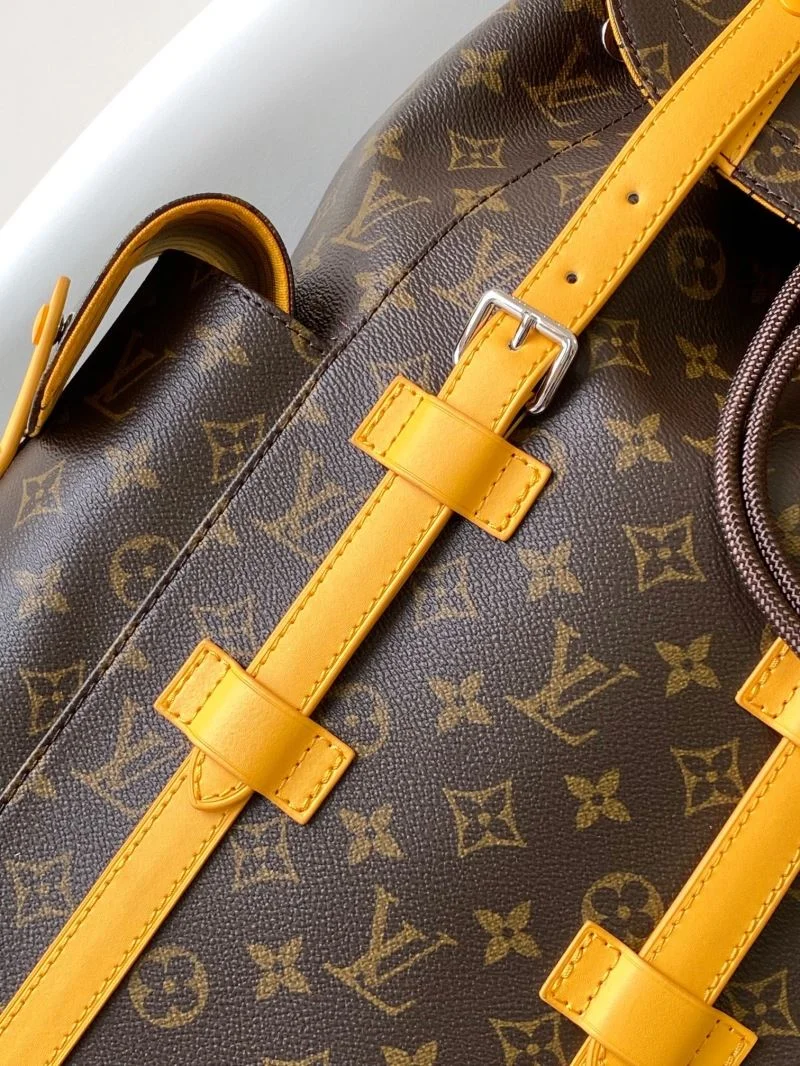 Louis Vuitton Backpacks GoAnywhere 43138