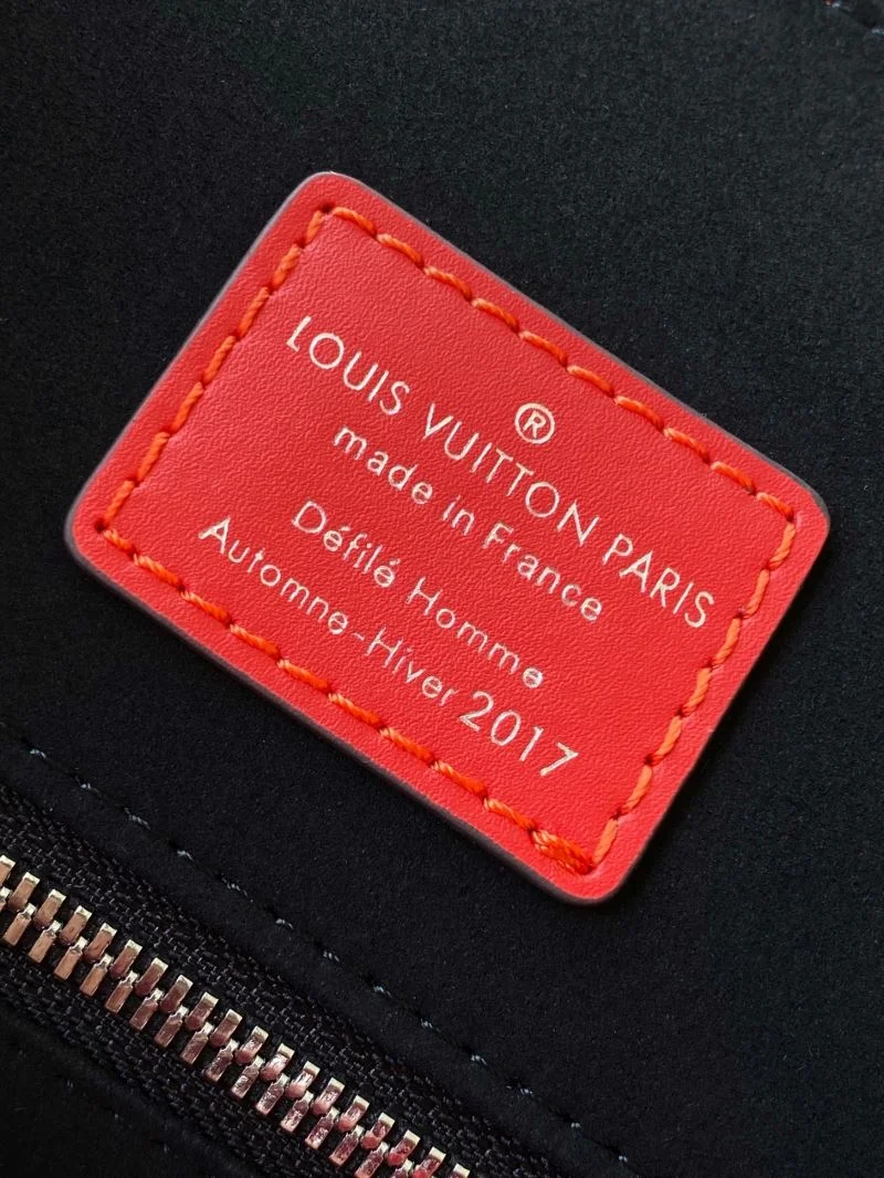GoAnywhere Louis Vuitton Backpacks 43107