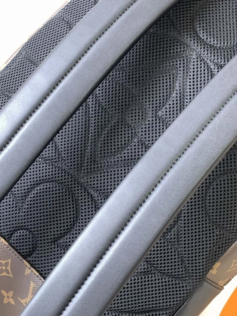 Louis Vuitton Backpacks Classic 43104