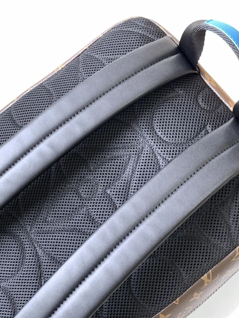 Flexible Louis Vuitton Backpacks 43098
