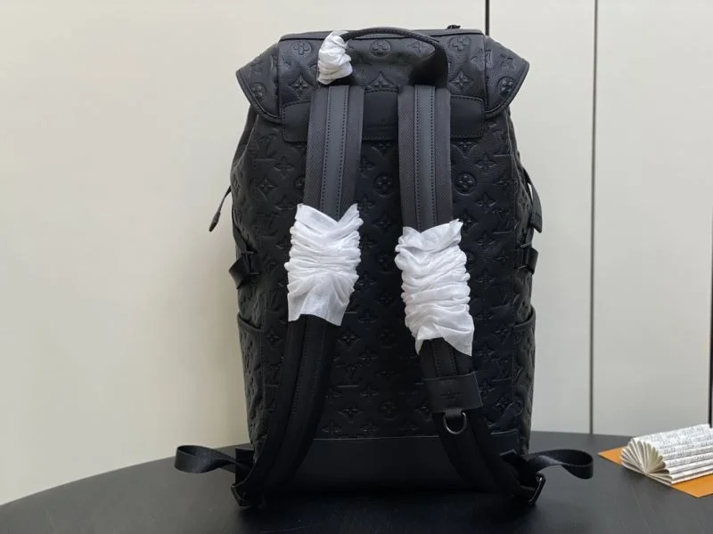 Louis Vuitton Backpacks Neat 41447