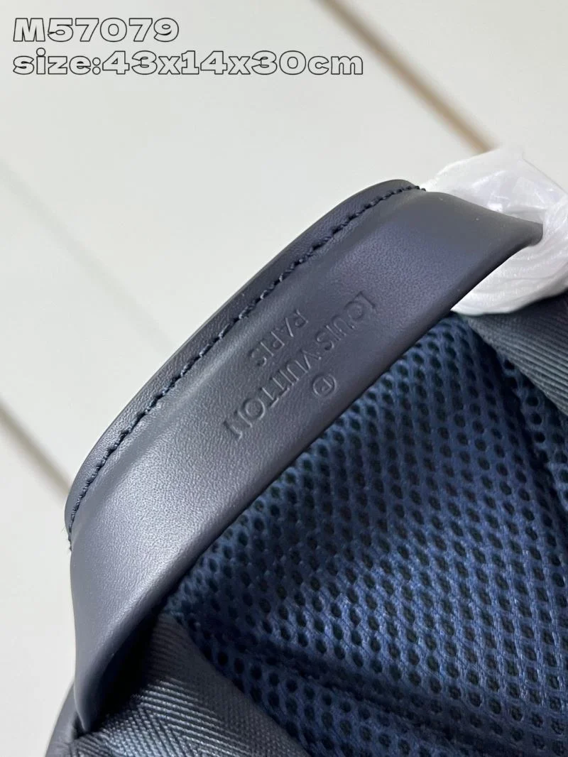 Louis Vuitton Backpacks Bright 41440