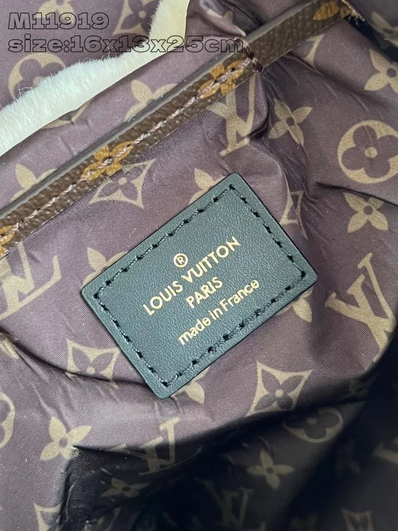 Louis Vuitton Backpacks DailyWear 41429