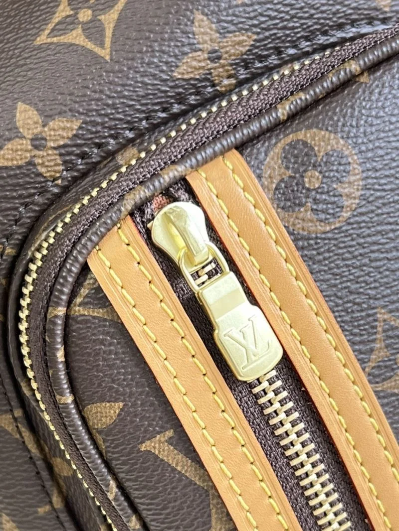 EyeCatching Louis Vuitton Backpacks 49239